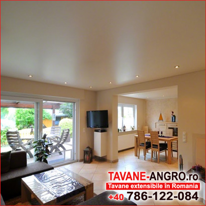 Cum sa alegi un tavan in Romania