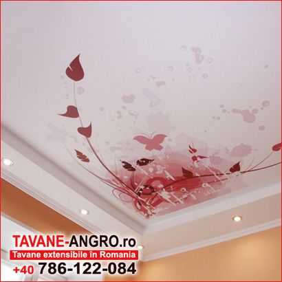 Imprimare foto pe tavane