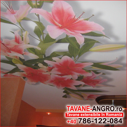 Imprimare foto pe tavane