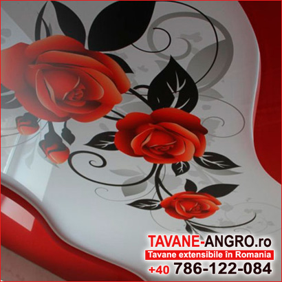 Plafoane intinse cu imagini