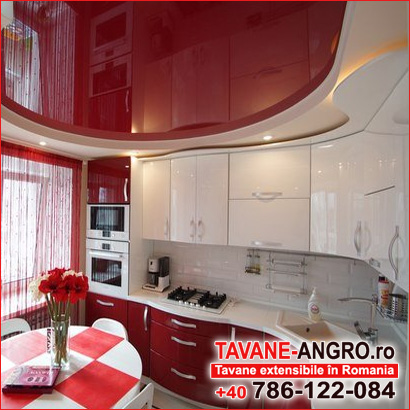 Componentele tavanelor extensibile în România