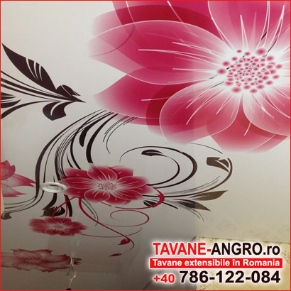 Plafoane stretch in bucatarie